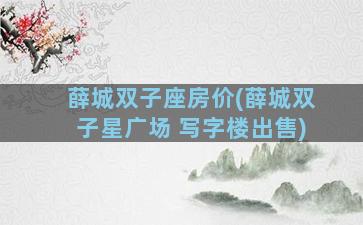 薛城双子座房价(薛城双子星广场 写字楼出售)